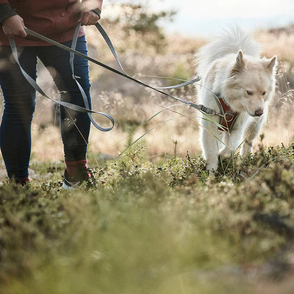 multi-long-running-dog-leash
