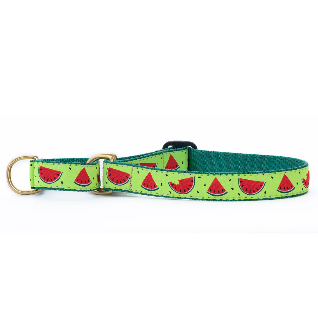 one-in-a-melon-dog-collar-martingale-no-pull