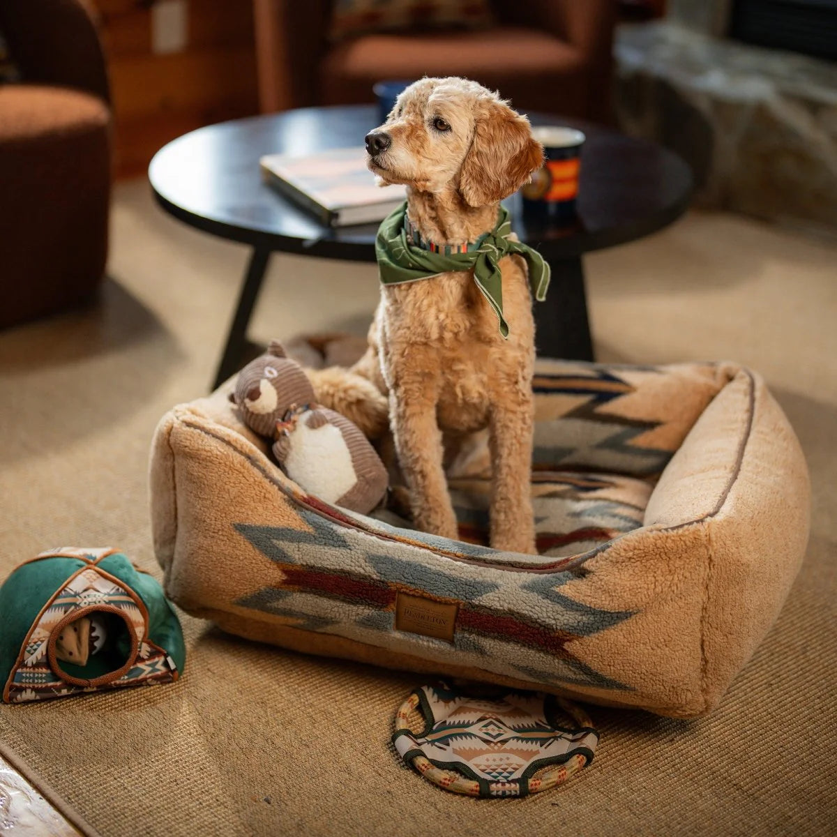 Dog standing on a patterned pet bed with toys in a cozy living room.