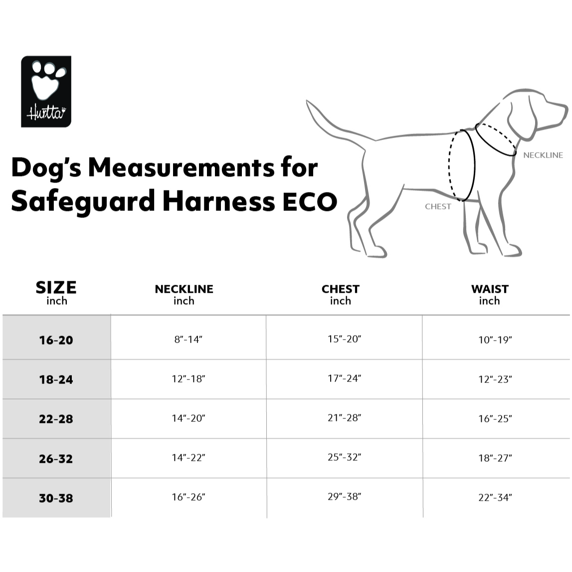 Measurement chart for Hittar Safeguard Harness ECO with a dog illustration and size guidelines.