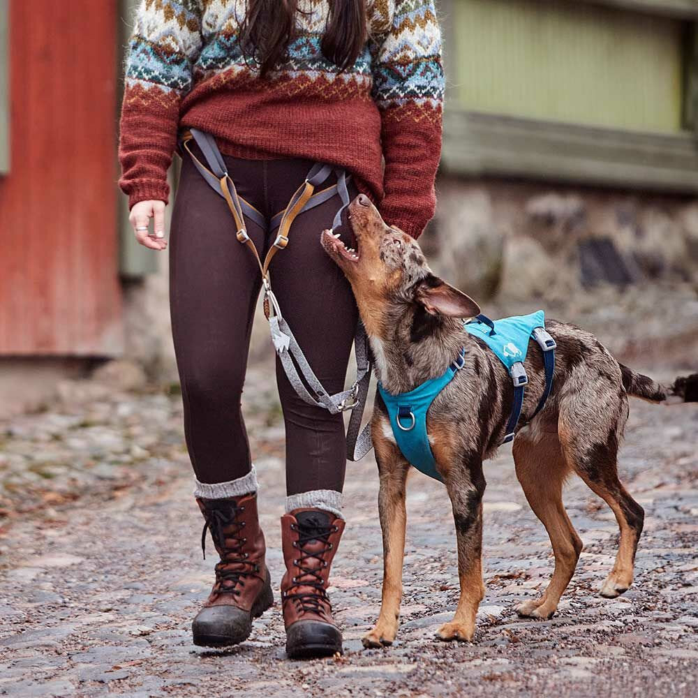 Person in patterned sweater and brown pants with a dog on a leash in an outdoor setting.