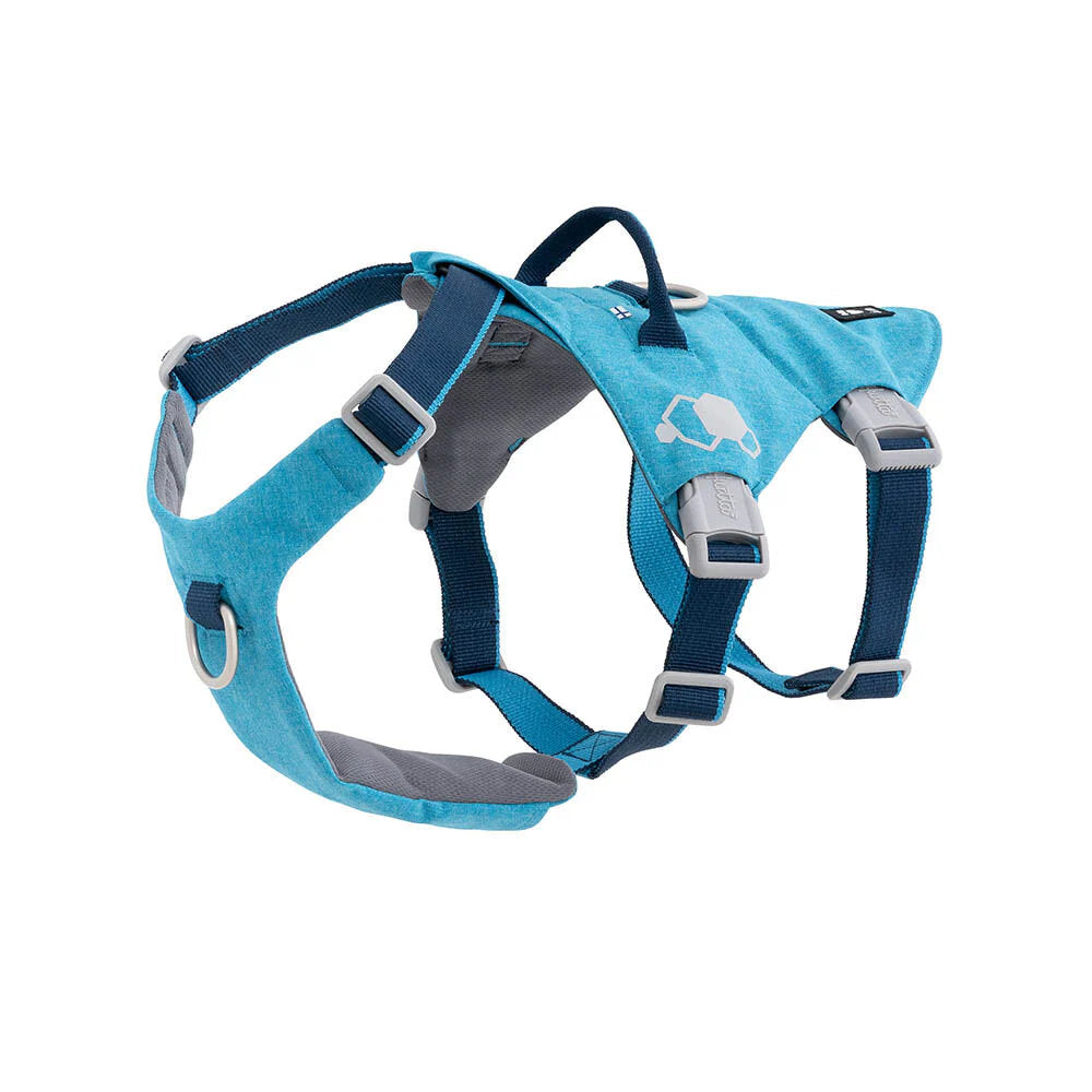 Blue dog harness with gray accents on a white background