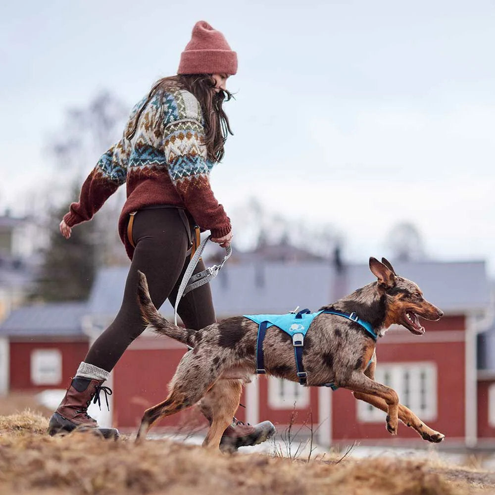 Woman walking a dog in an open field with a red building in the background