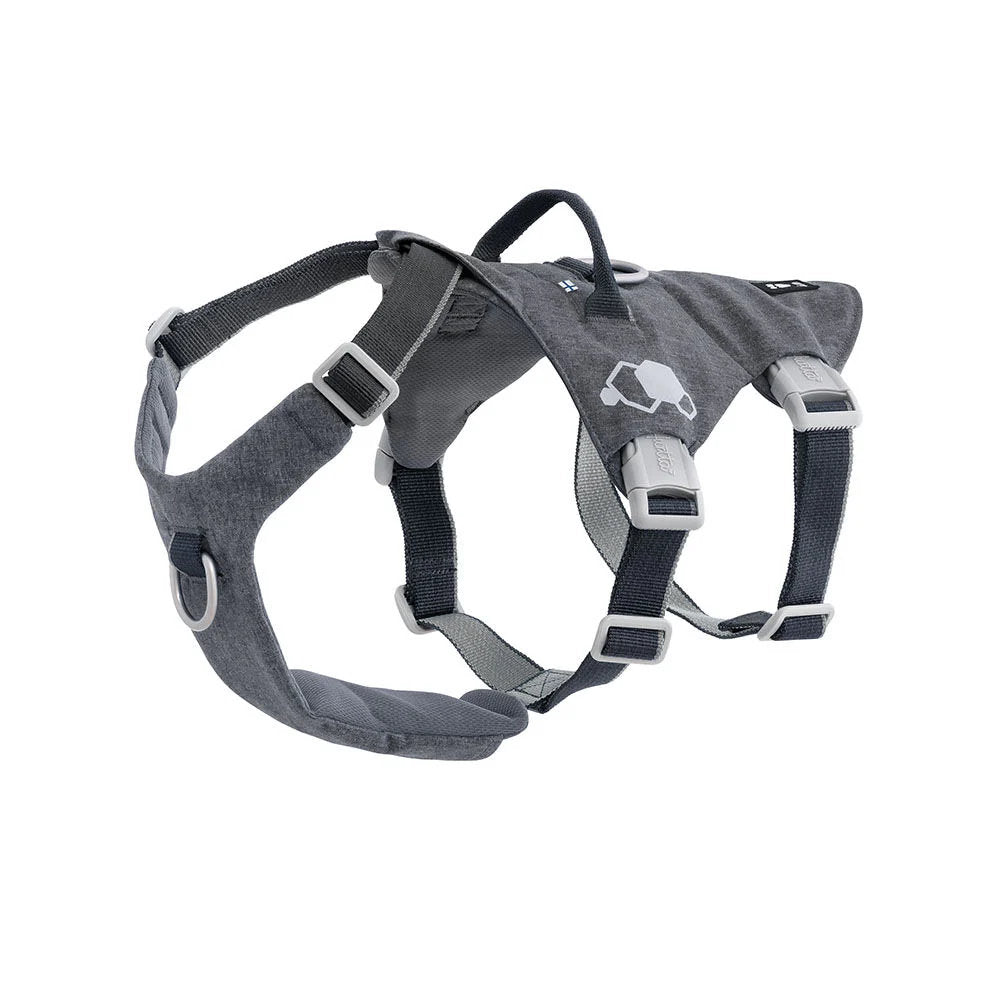 Gray dog harness on a white background