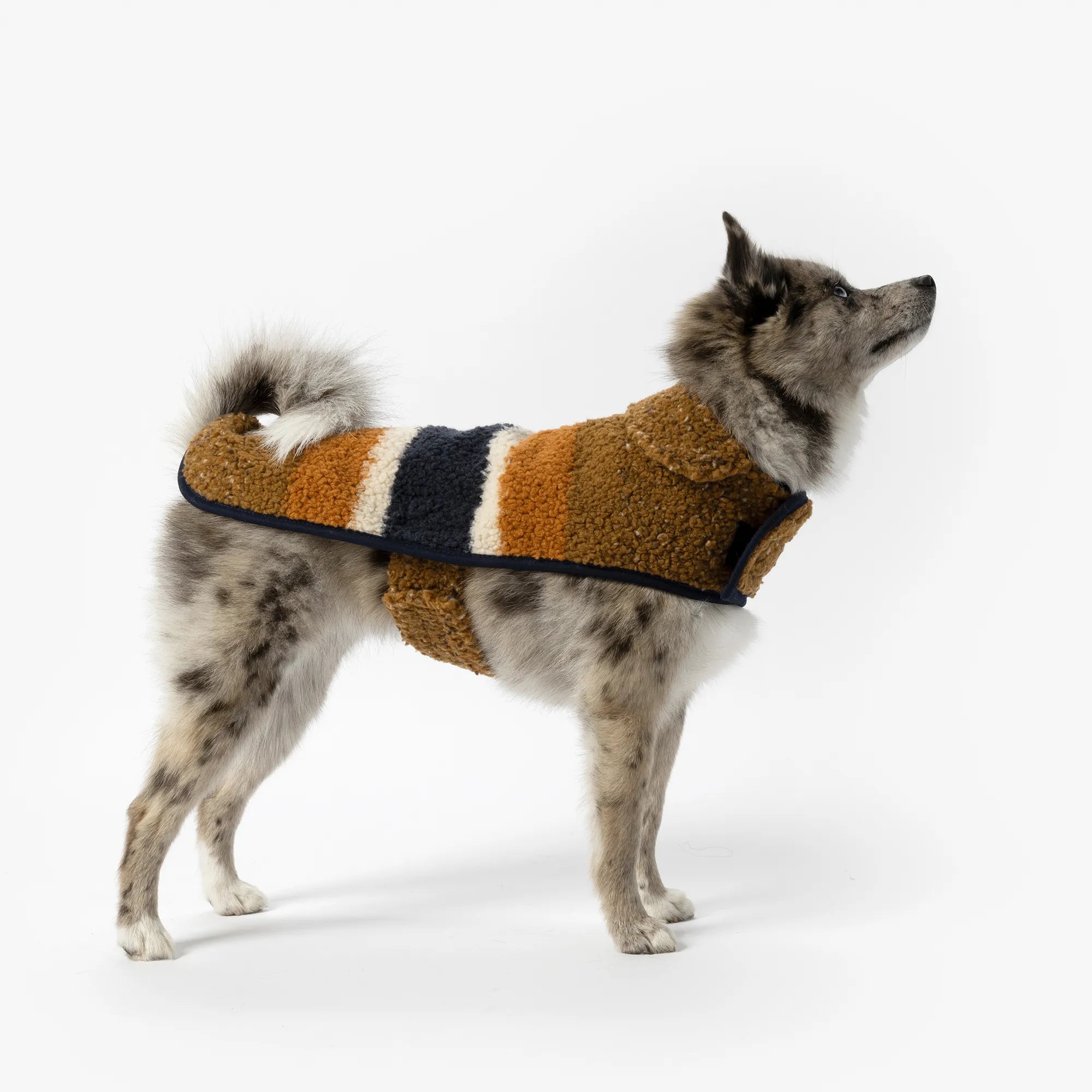 shinola-dog-coat-berber-rust