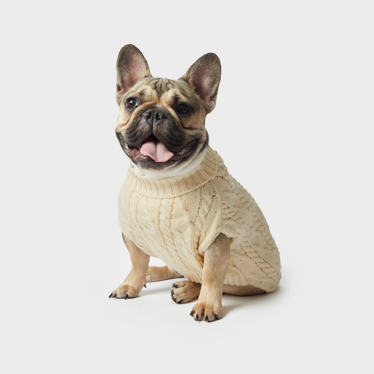 shinola-knit-dog-sweater-ivory