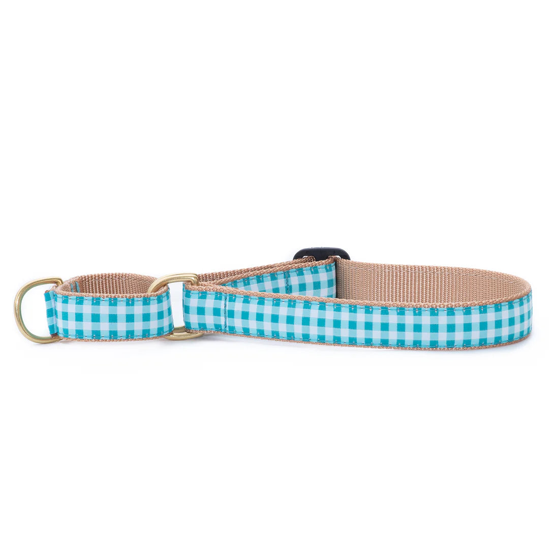 turquoise-gingham-dog-collar-martingale-no-pull