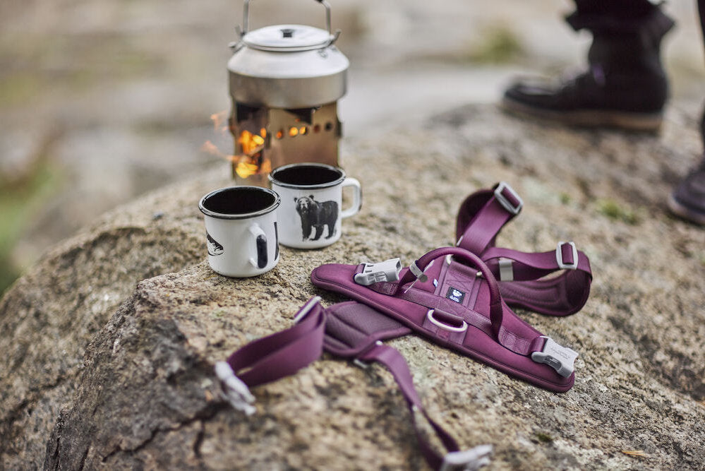 Purple hiking sandals on a rock with two mugs and a lantern in the background