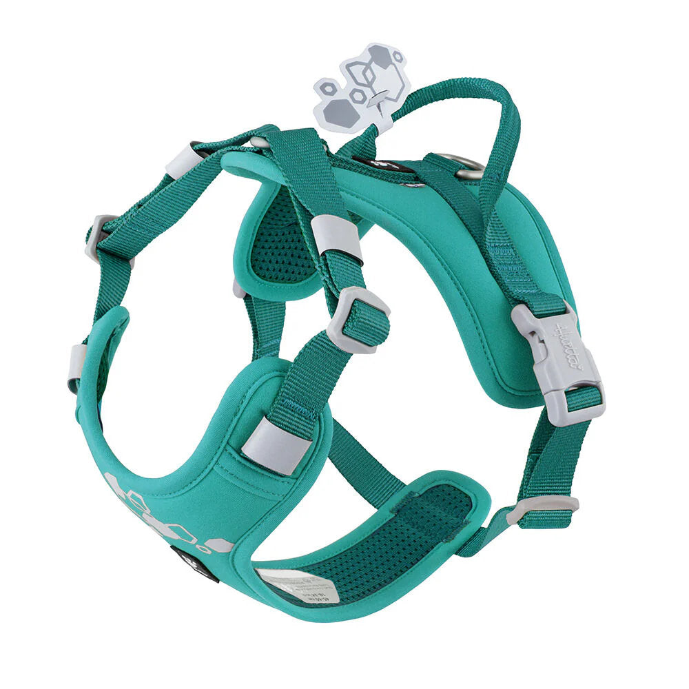 Teal dog harness with gray buckles on a white background