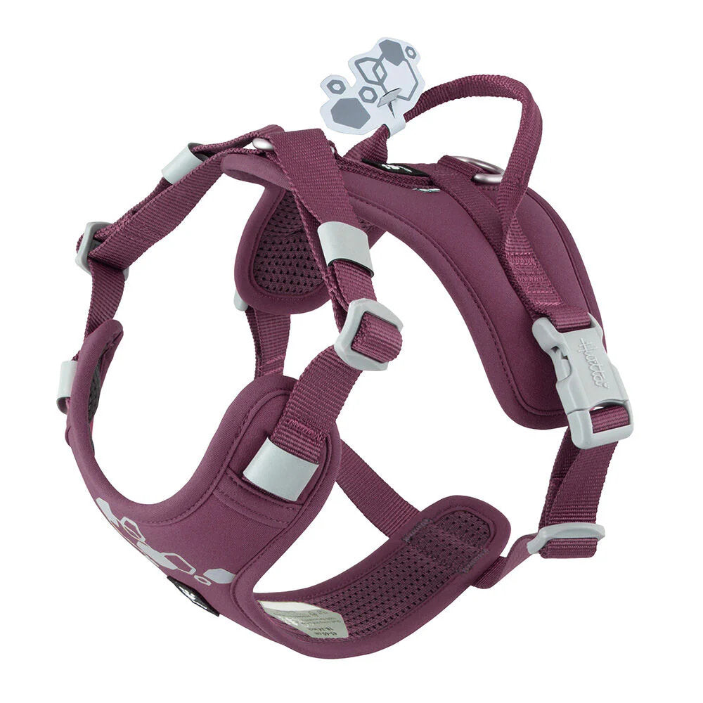 Purple dog harness with white buckles on a white background