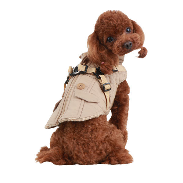 Small dog wearing a beige coat on a white background