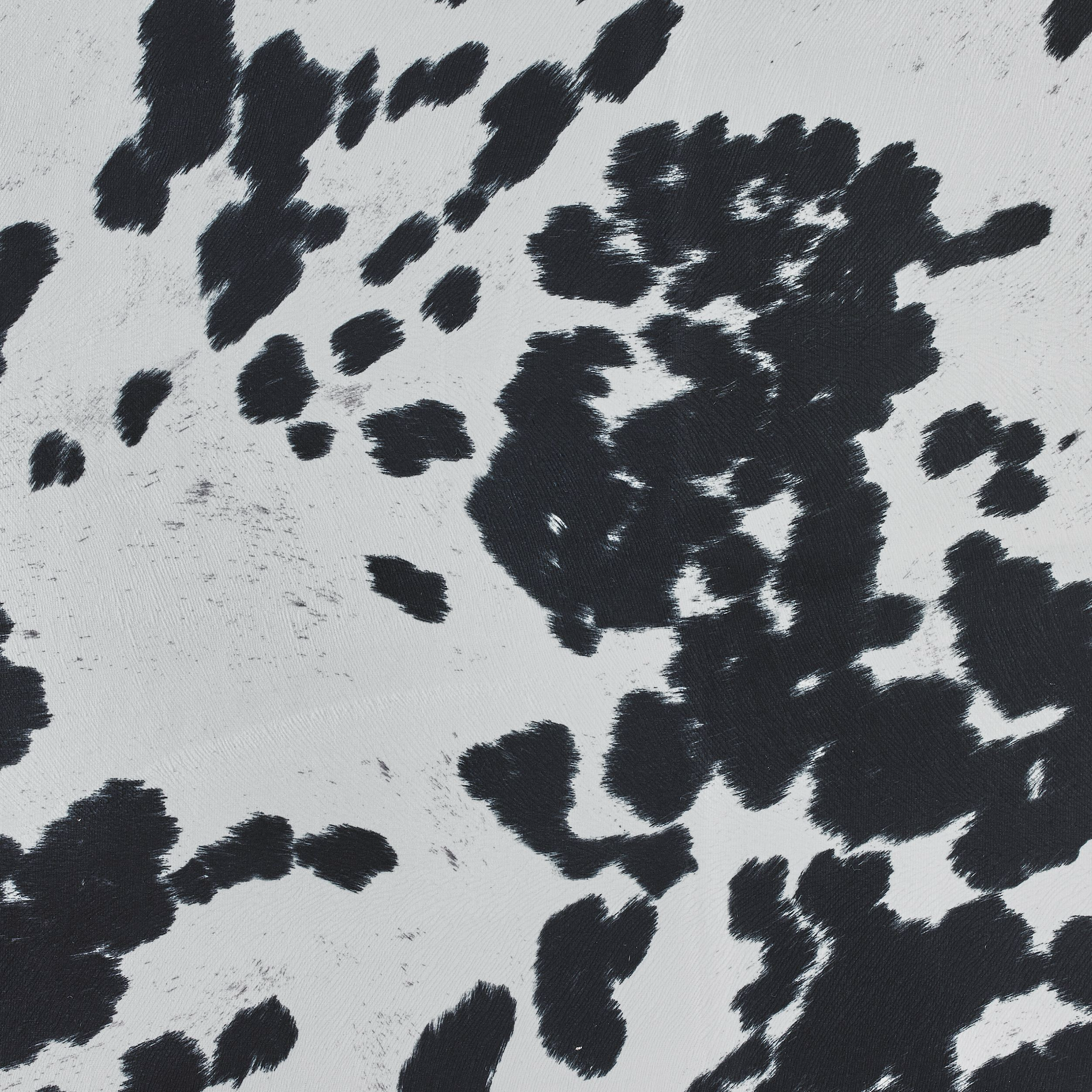 Black abstract brush strokes on a white background