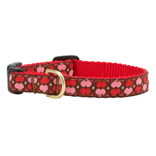 ALL-HEARTS-VALENTINES-DOG-COLLAR-SMALL-BREED-TEACUP