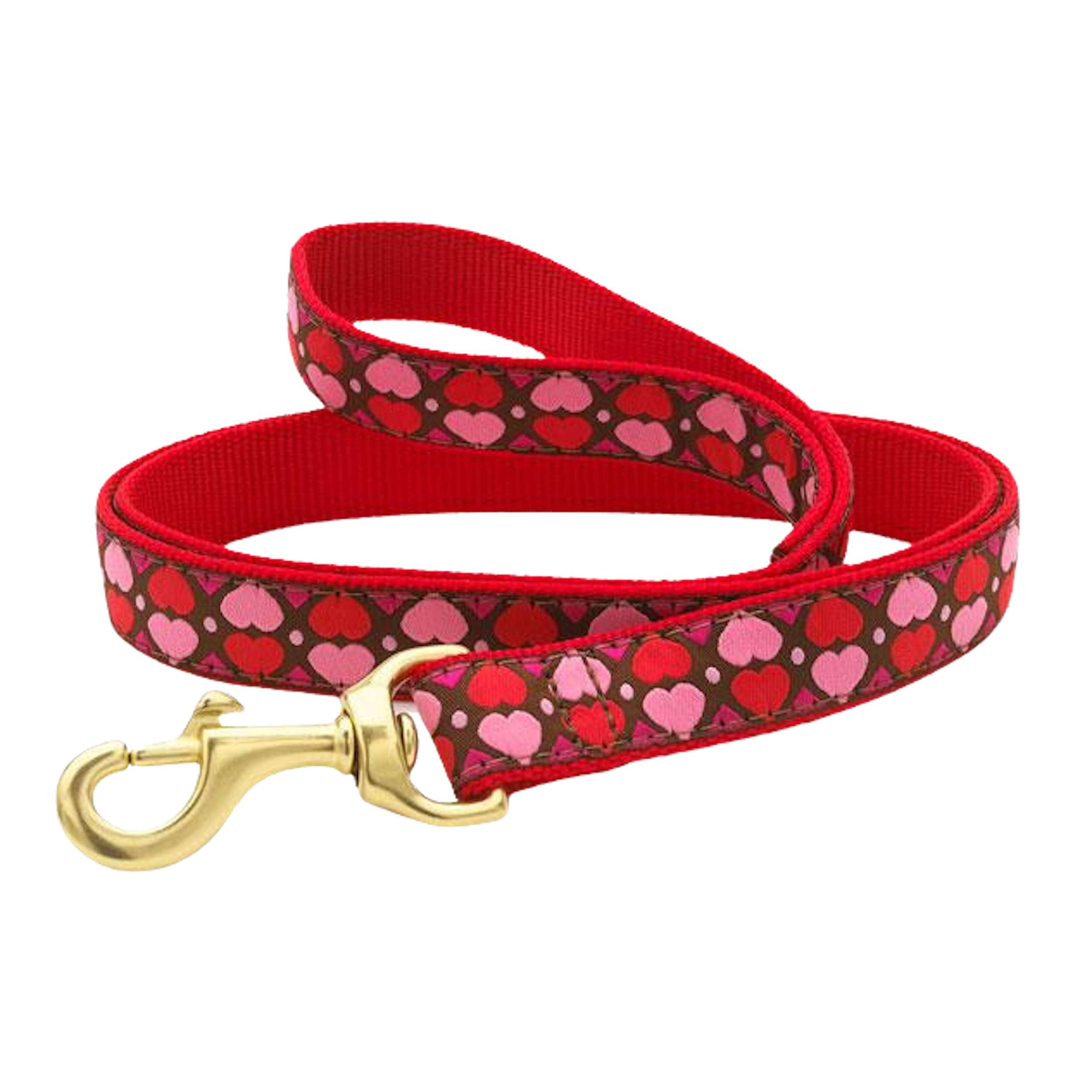 all-hearts-valentines-dog-leash