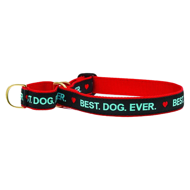 BEST-DOG-EVER-DOG-COLLAR-MARTINGALE-NO-PULL