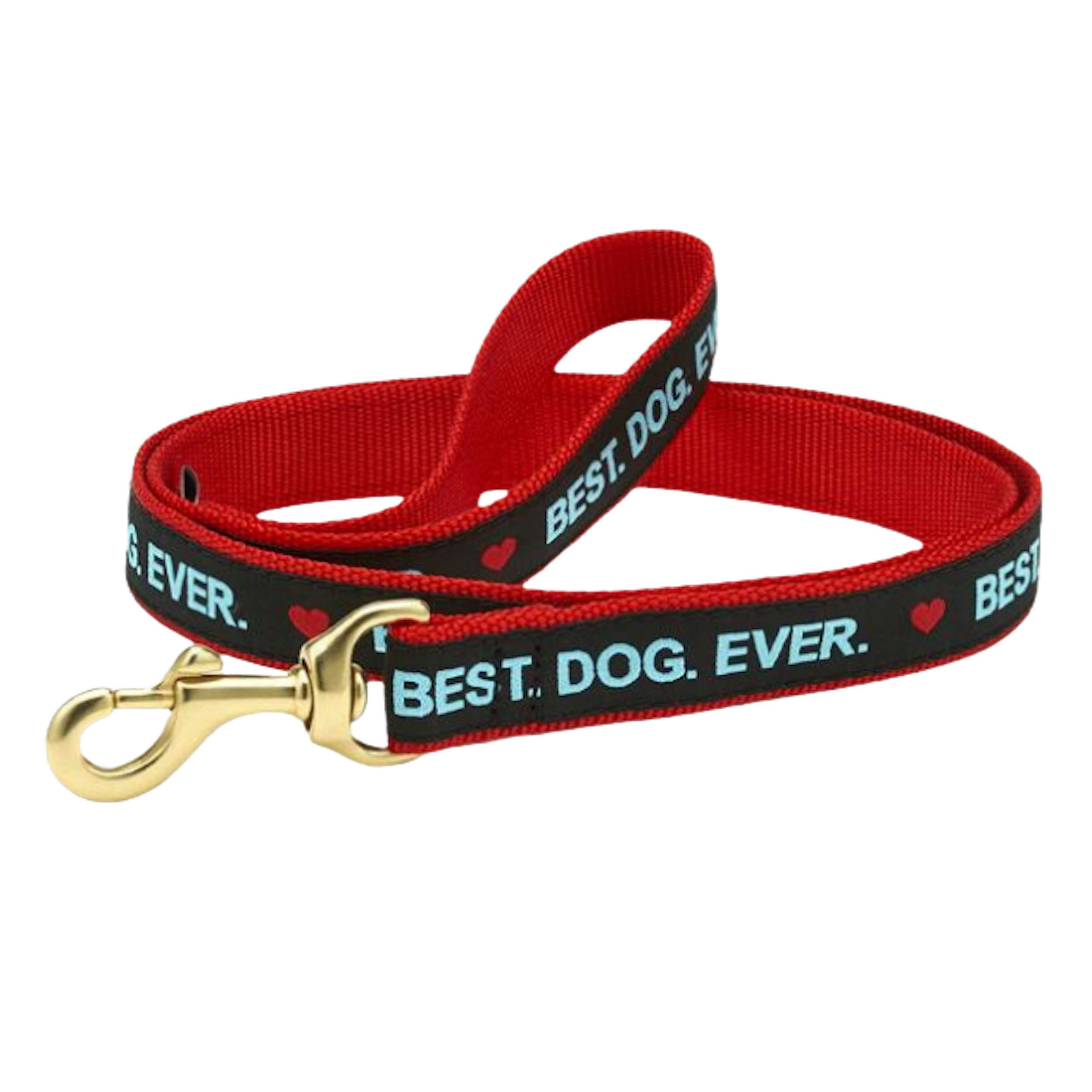 BEST-DOG-EVER-DOG-LEASH