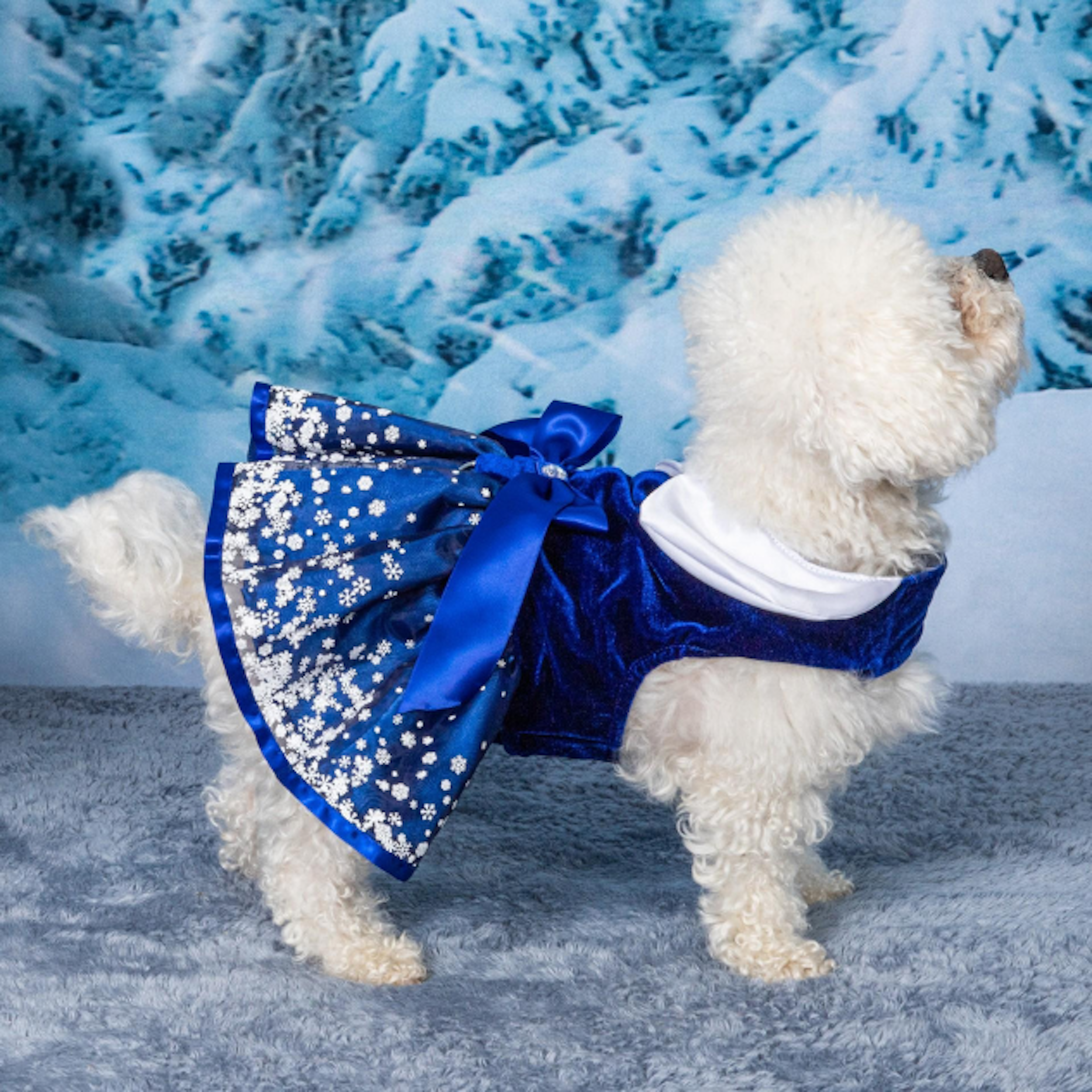 BLUE-ICE-SNOWFLAKE-DOG-PARTY-DRESS-BOULDERBARKS