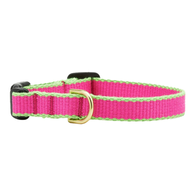 BRIGHT-PINK-LIME-DOG-COLLAR-SMALL-BREED-TEACUP