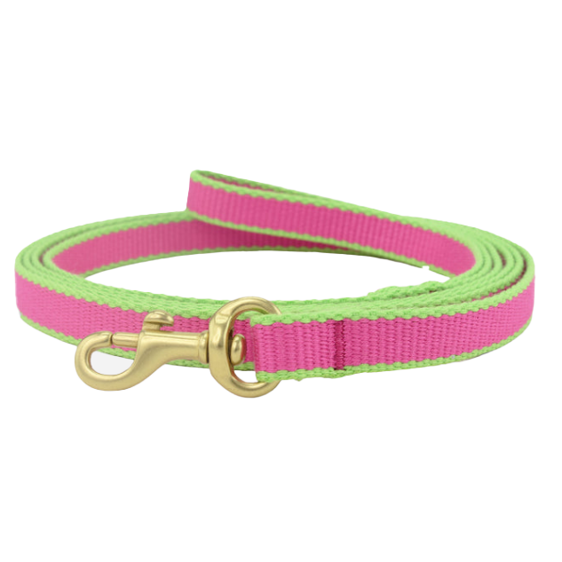 BRIGHT-PINK-LIME-DOG-LEASH-SMALL-BREED-TEACUP