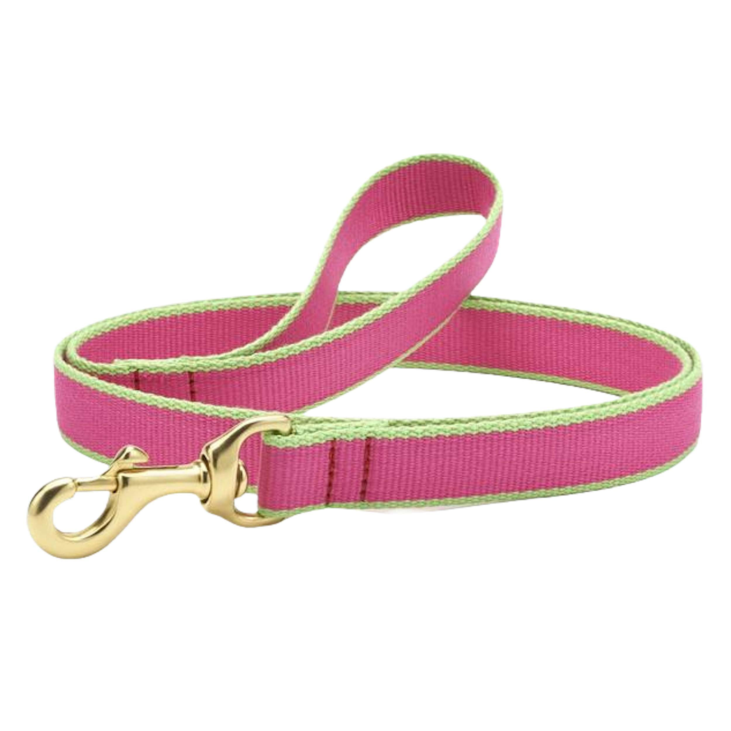 BRIGHT-PINK-LIME-DOG-LEASH
