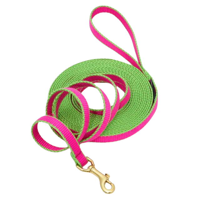 BRIGHT-PINK-LIME-TRAINING-LEASH