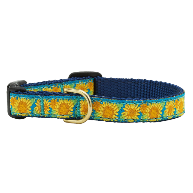BRIGHT-SUNFLOWER-DOG-COLLAR-SMALL-BREED-TEACUP