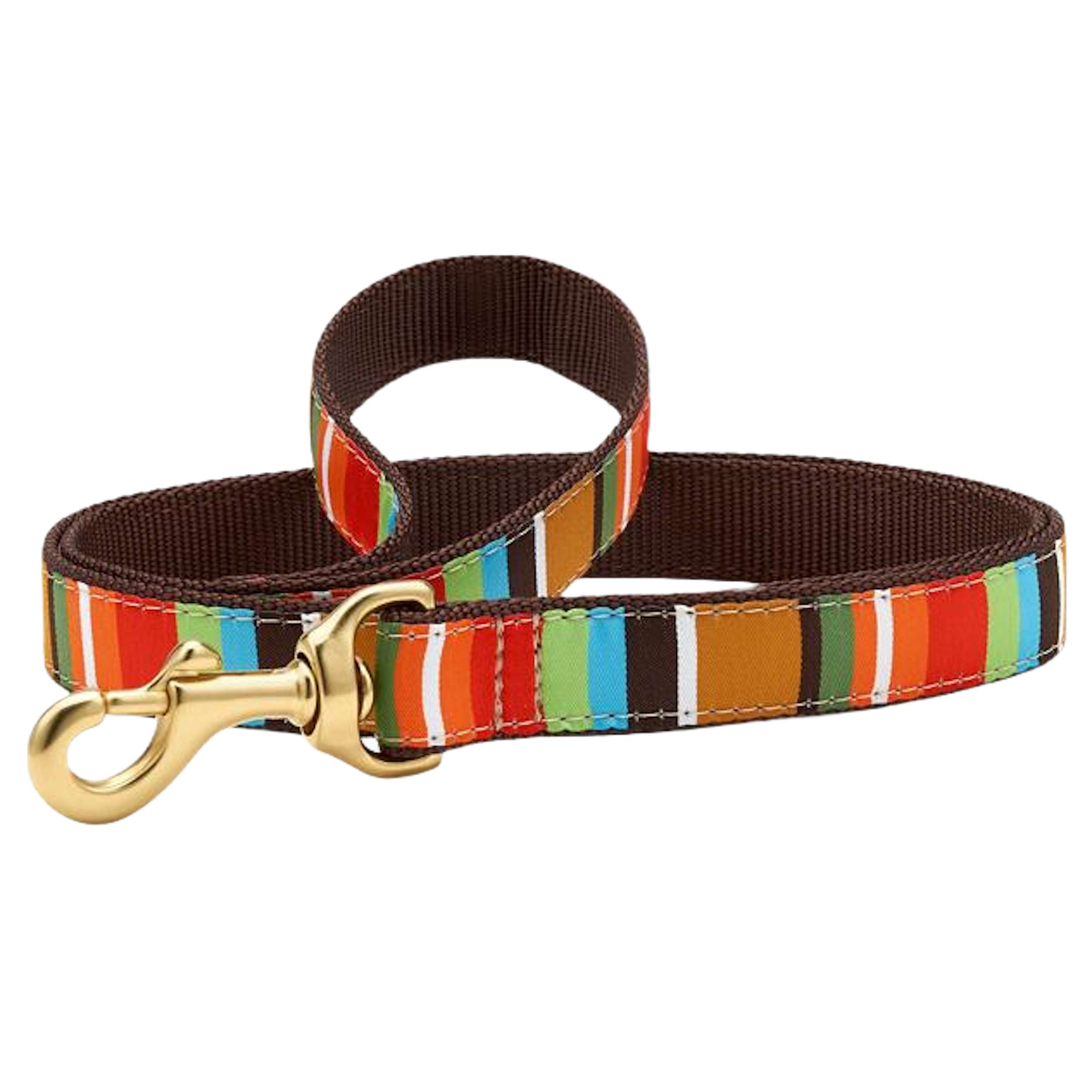 brown-stripe-dog-leash