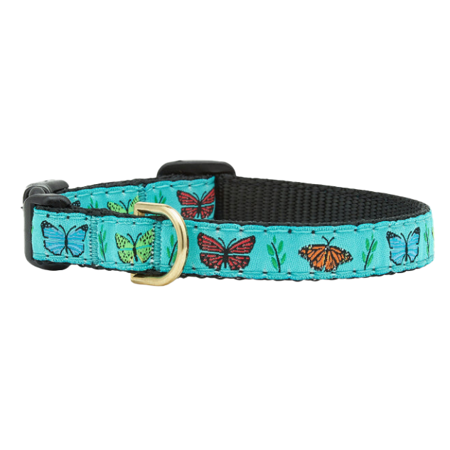 BUTTERFLY-EFFECT-DOG-COLLAR-SMALL-BREED-TEACUP
