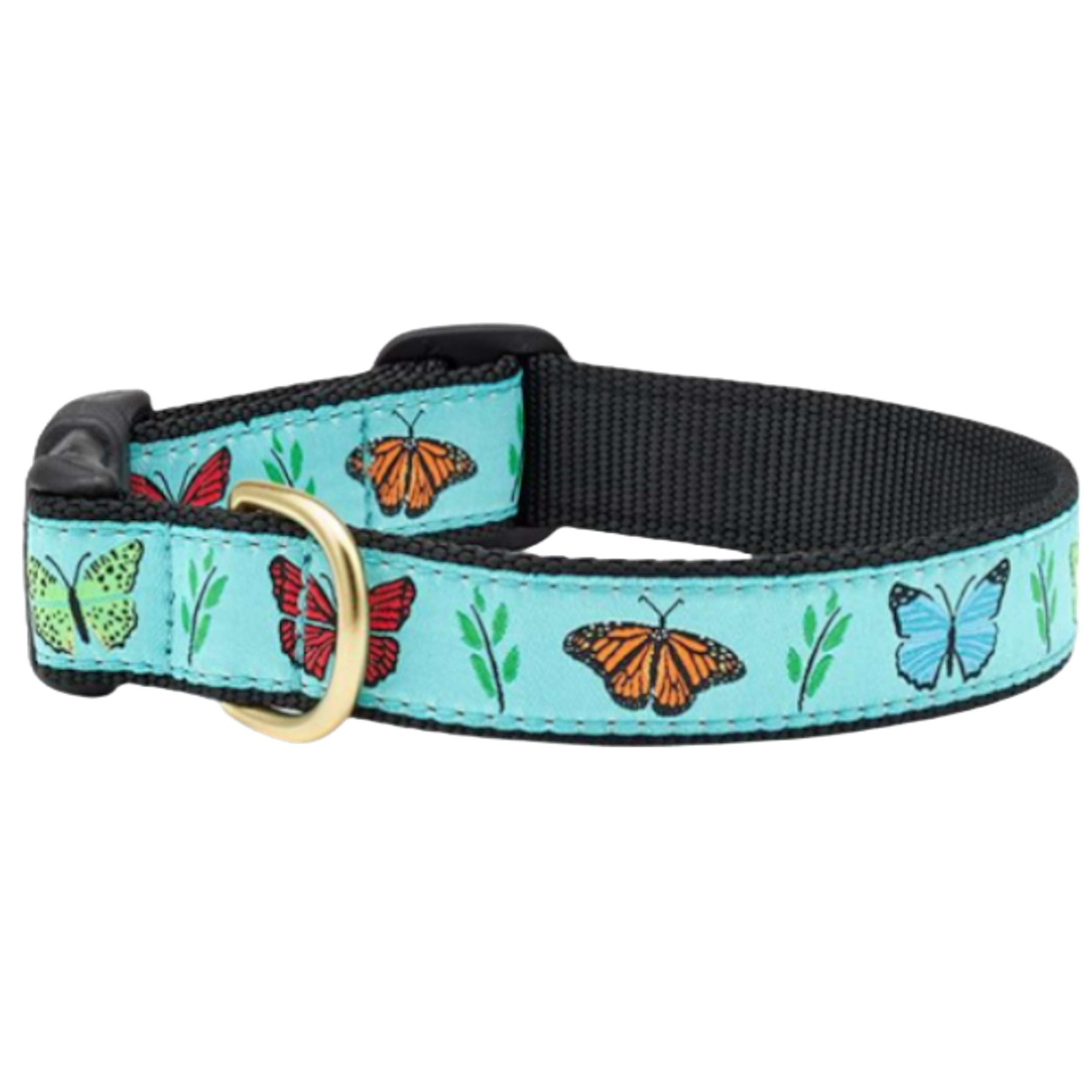 BUTTERFLY-EFFECT-DOG-COLLAR