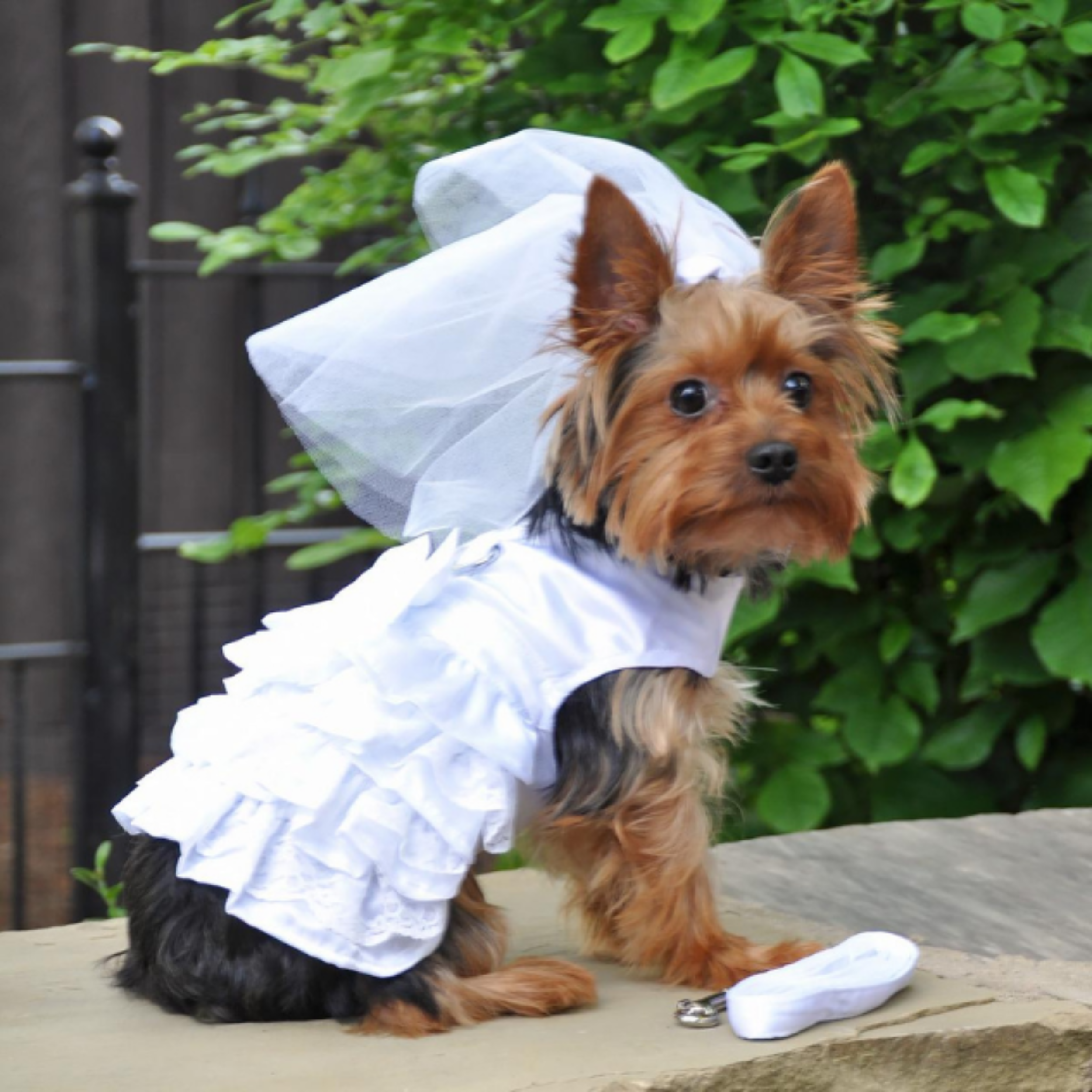 CAROLINE-WEDDING-DOG-PARTY-DRESS-BOULDERBARKS