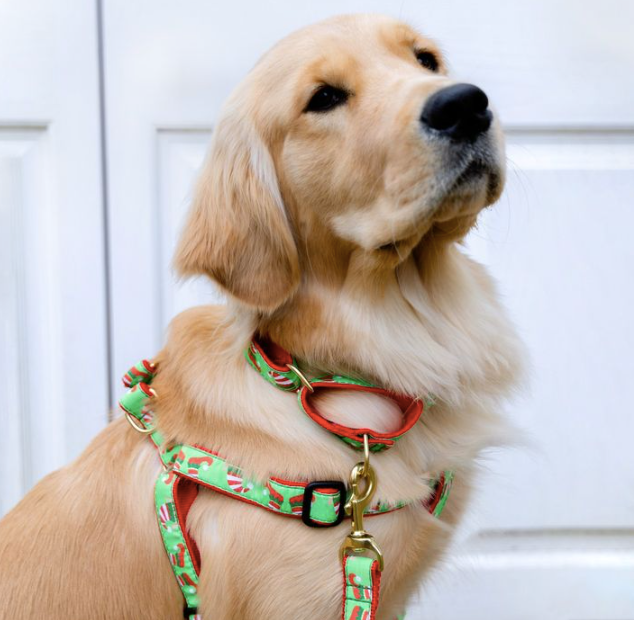 christmas-elves-dog-leashmartingale-harness