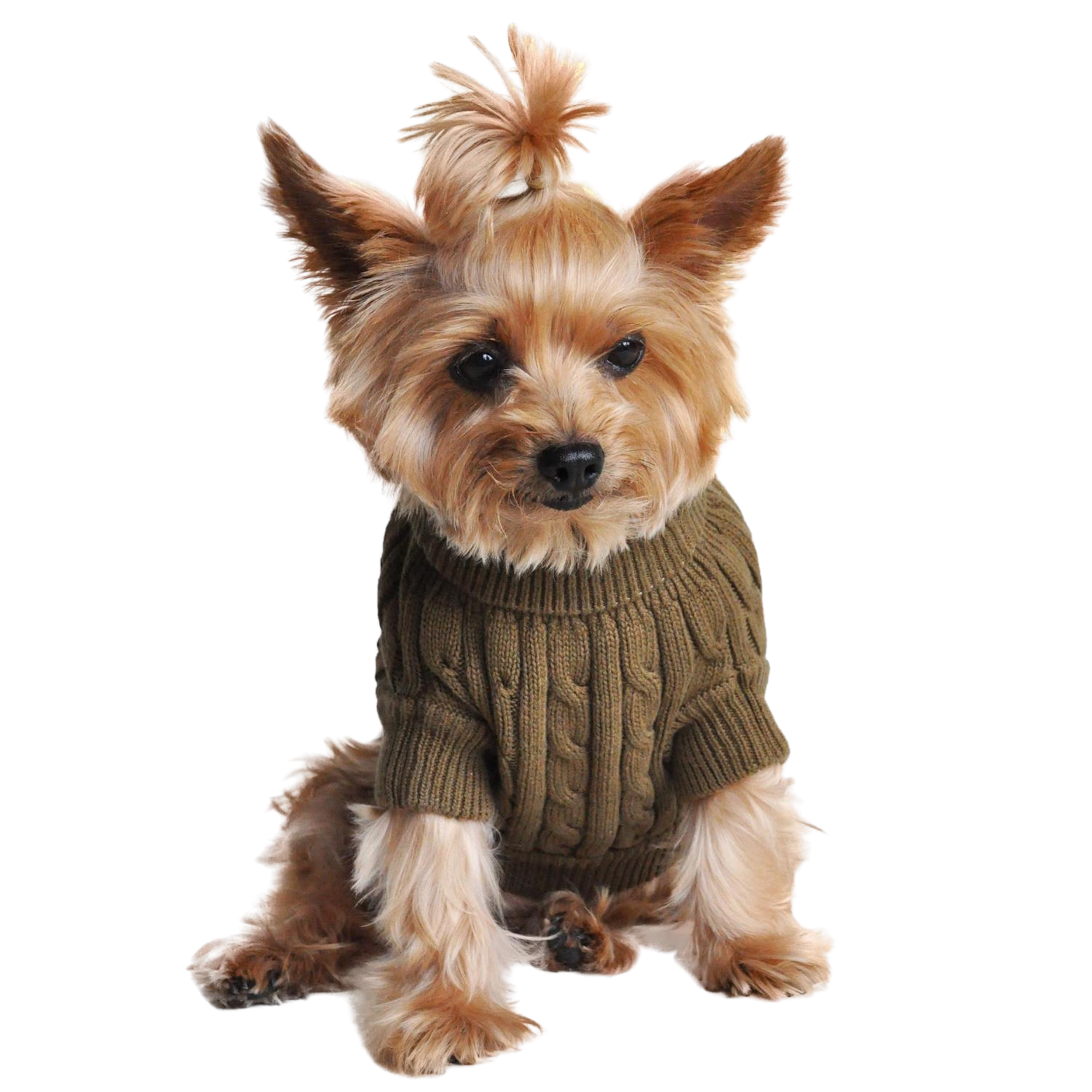 COMBED-COTTON-CABLE-KNIT-DOG-SWEATER-HERB-GREEN
