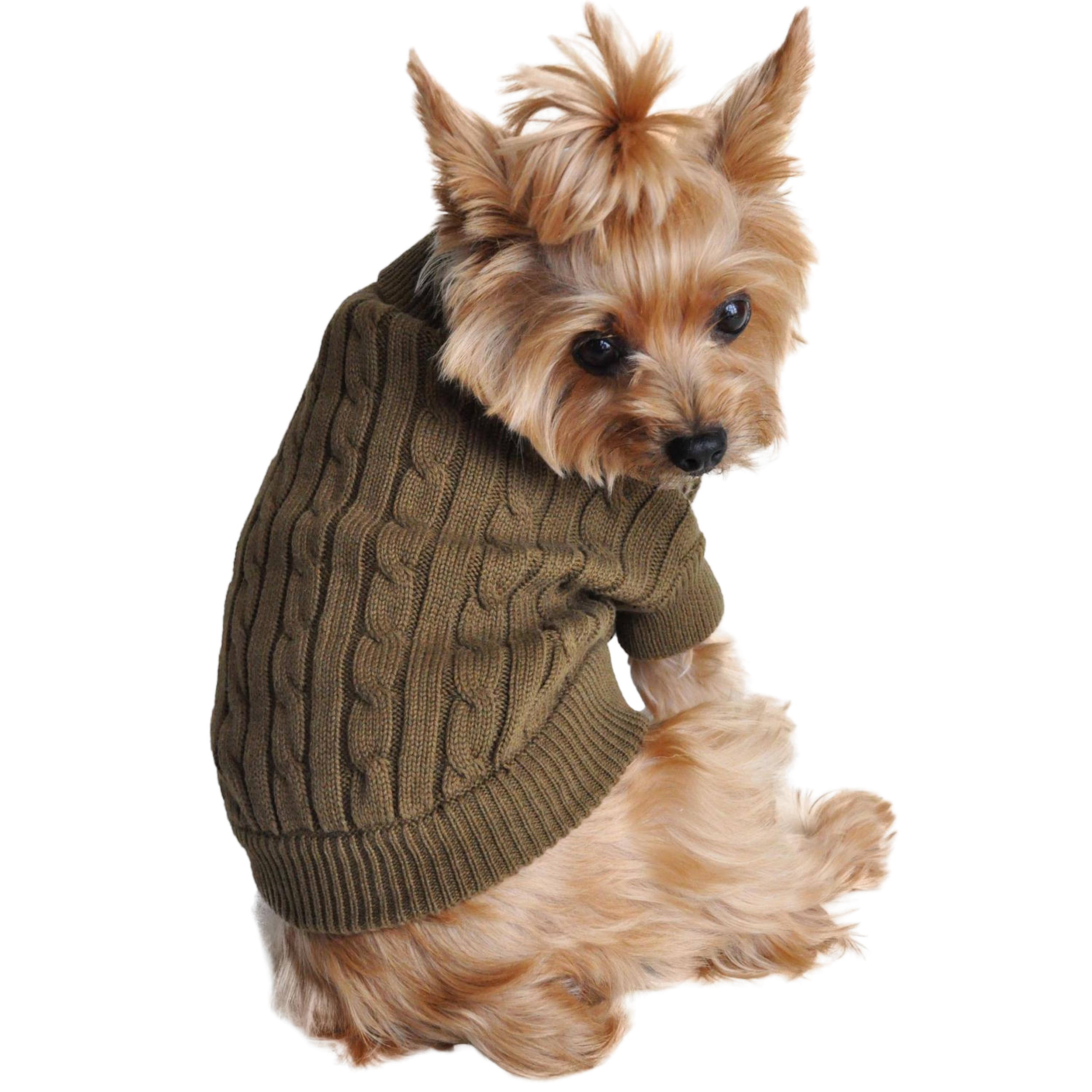 COMBED-COTTON-CABLE-KNIT-DOG-SWEATER-HERB-GREEN