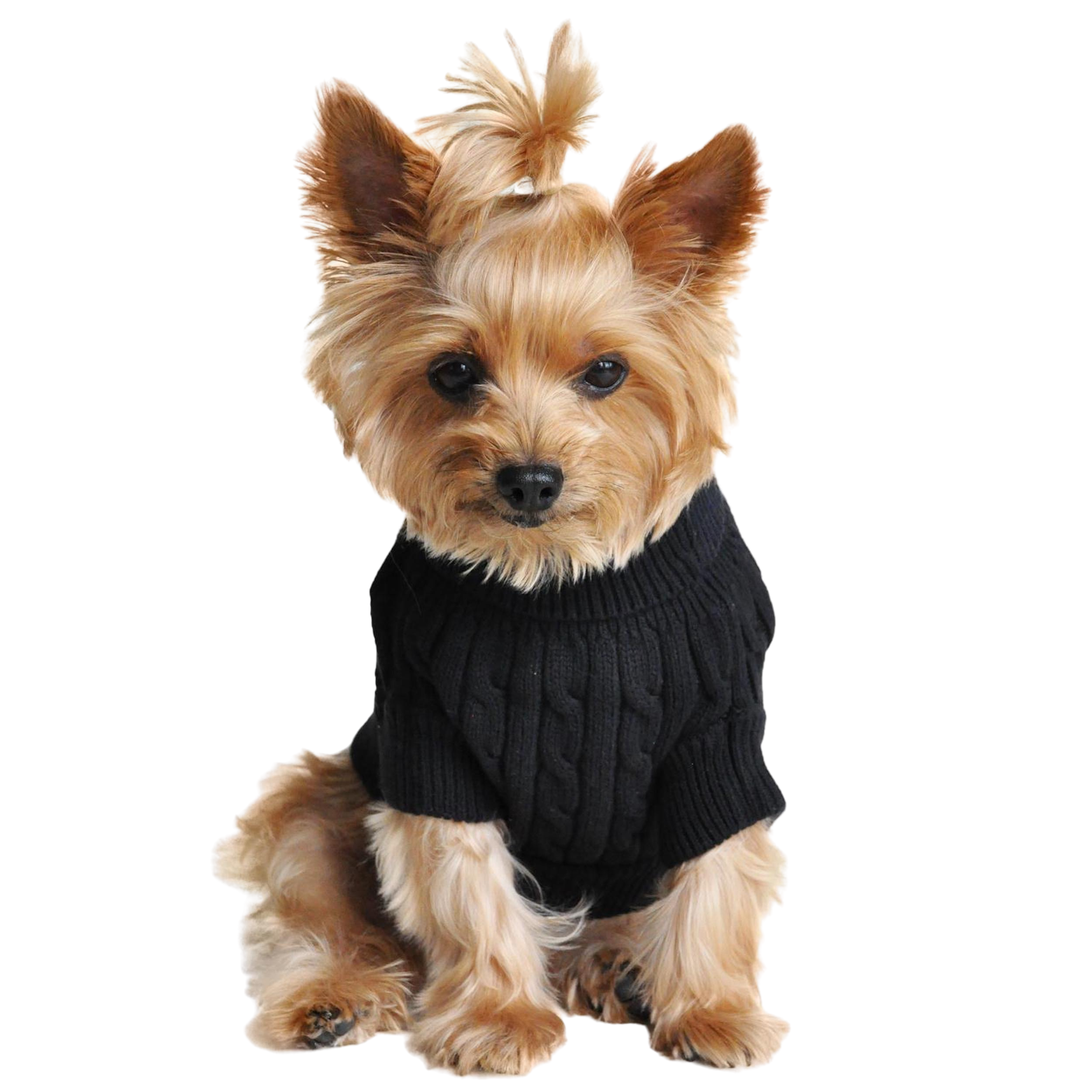 COMBED-COTTON-CABLE-KNIT-DOG-SWEATER-JET-BLACK