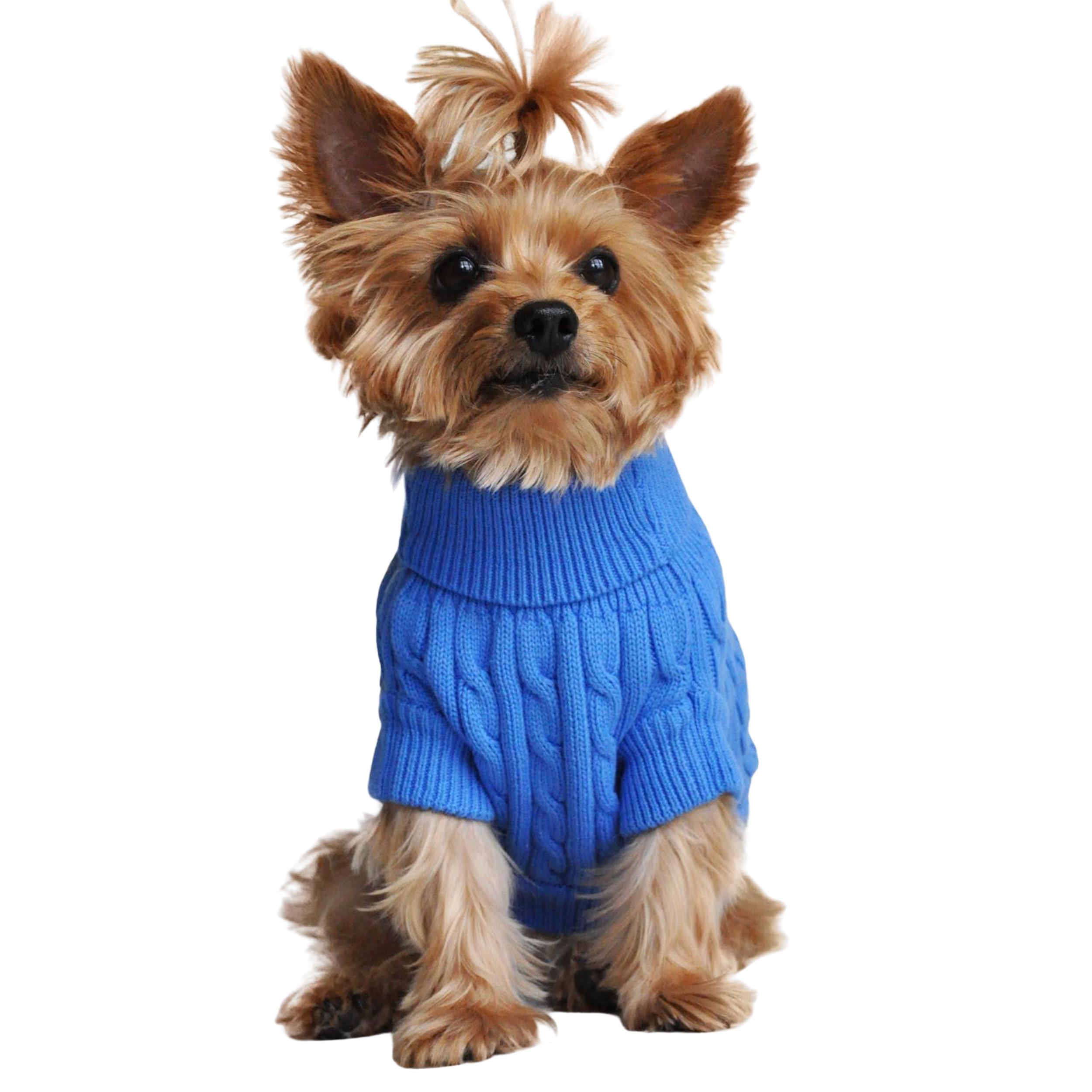 COMBED-COTTON-CABLE-KNIT-DOG-SWEATER-RIVERSIDE-BLUE