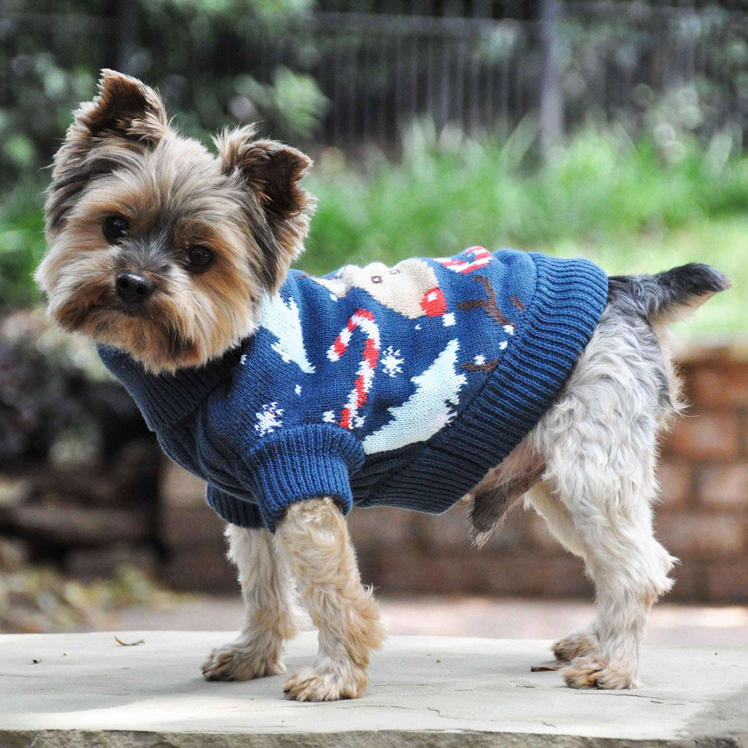 COMBED-COTTON-CABLE-KNIT-DOG-SWEATER-UGLY-REINDEER-HOLIDAY