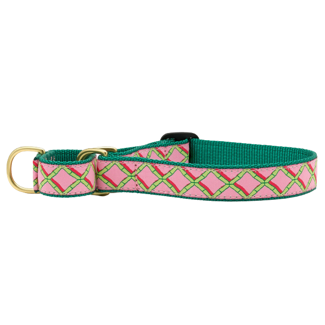 CORAL-GABLES-DOG-COLLAR-MARTINGALE-NO-PULL