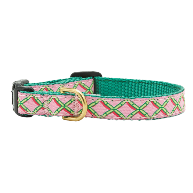 CORAL-GABLES-DOG-COLLAR-SMALL-BREED-TEACUP