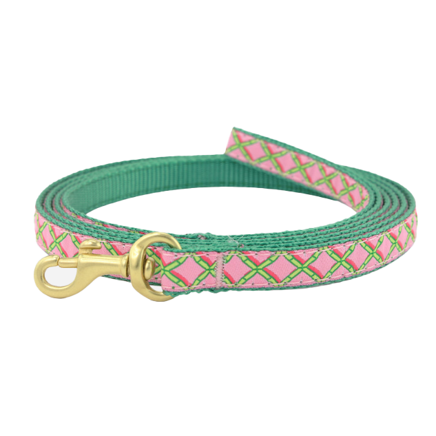 CORAL-GABLES-DOG-LEASH-SMALL-BREED-TEACUP