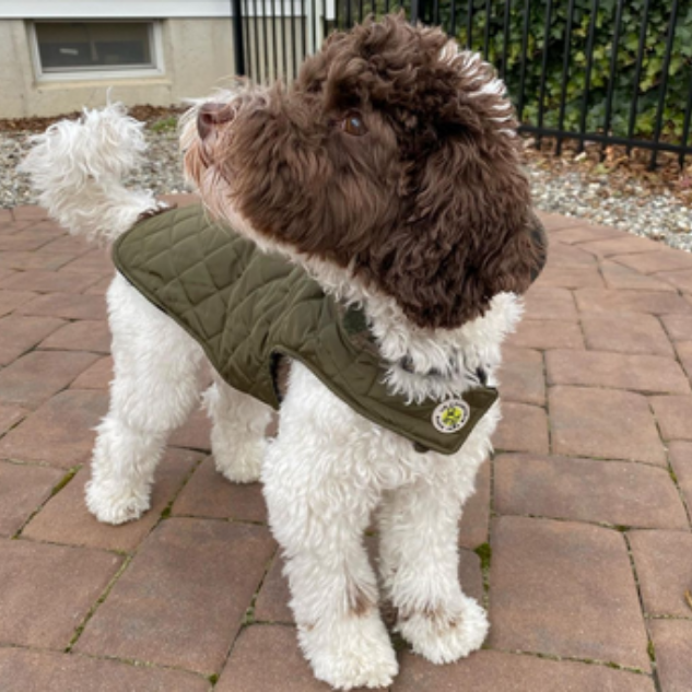 DOG-COAT-DIAMOND-QUILTED-CAMOUFLAGE