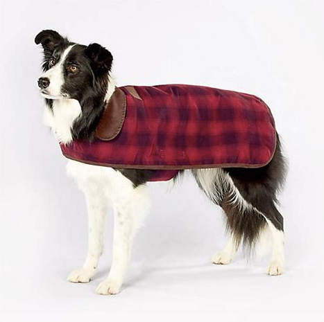 DOG-COAT-PENDLETON-CLASSIC-RED-OMBRE-BORDER-COLLIE