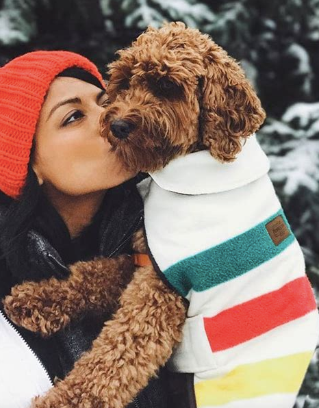 Pendleton top glacier coat