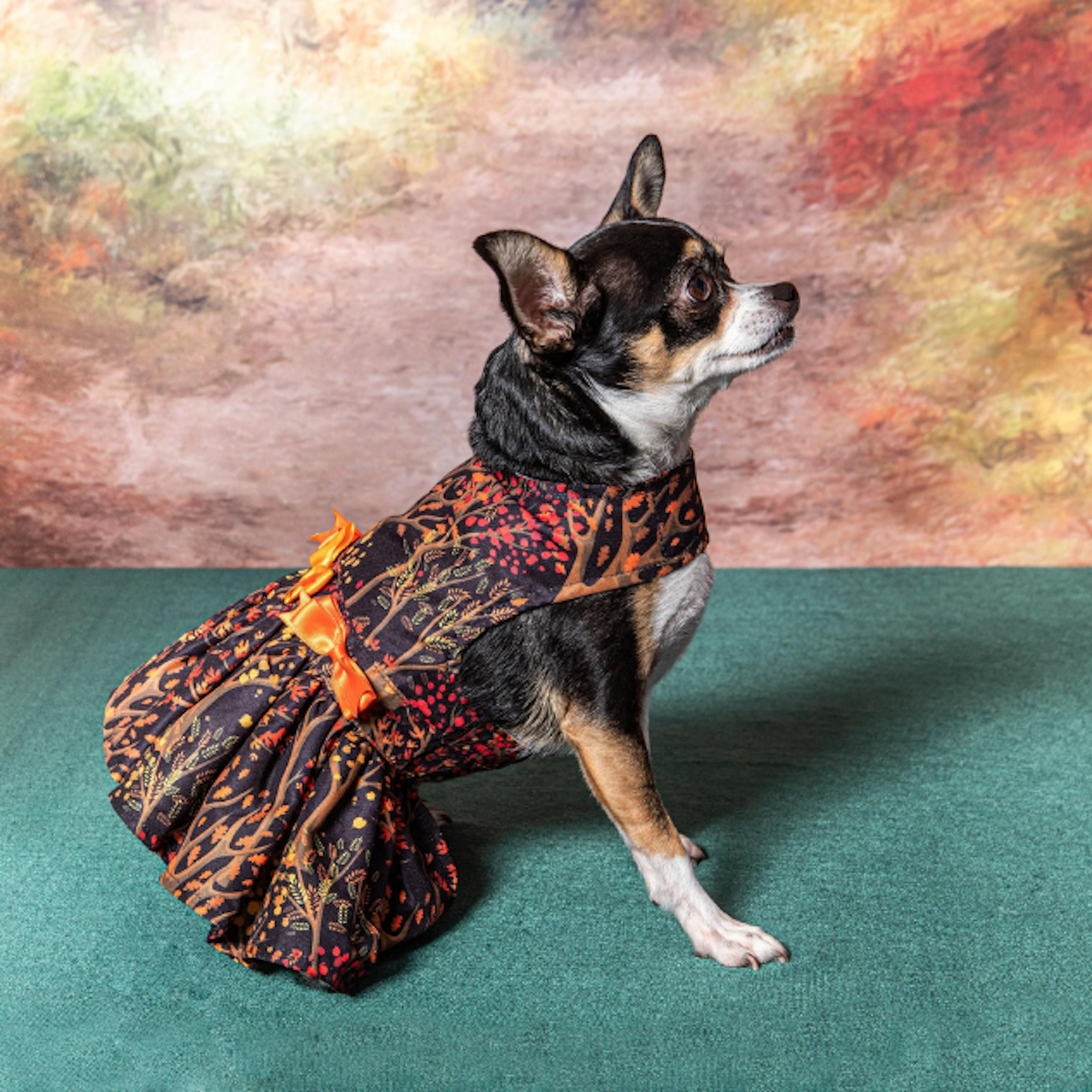 FALL-AUTUMN-LEAVES-DOG-PARTY-DRESS-BOULDERBARKS