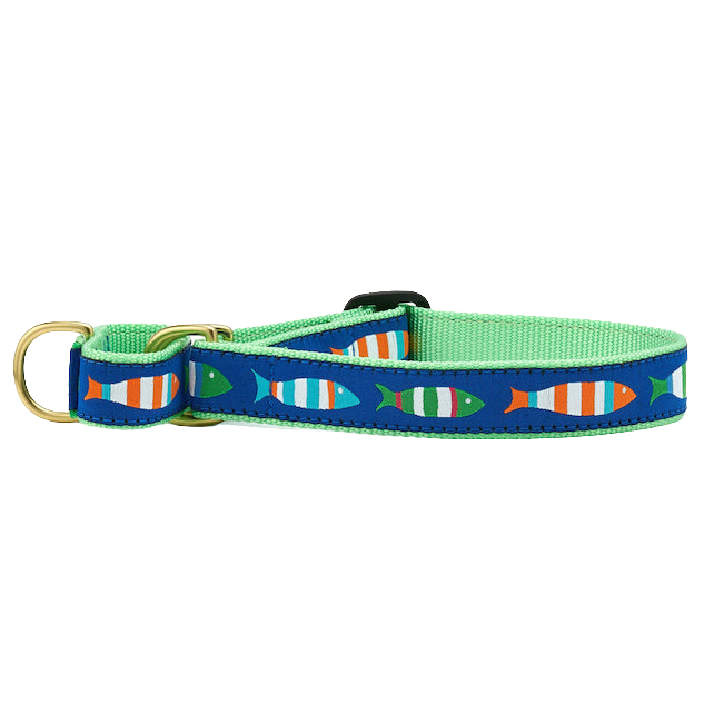 FUNKY-FISH-DOG-COLLAR-MARTINGALE-NO-PULL
