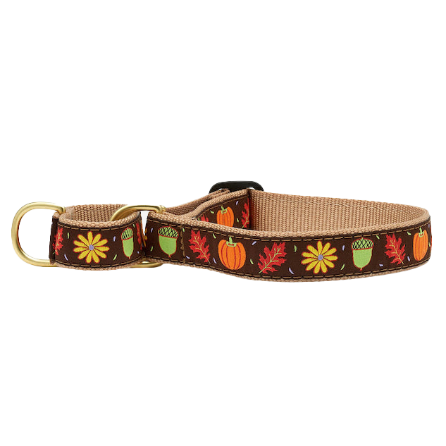 HARVEST-TIME-THANKSGIVING-DOG-COLLAR-MARTINGALE-NO-PULL