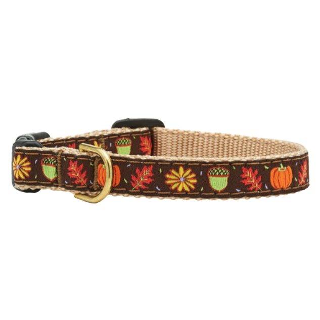 HARVEST-TIME-THANKSGIVING-DOG-COLLAR-SMALL-BREED-TEACUP