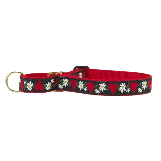 HEARTS-FLOWERS-DOG-COLLAR-MARTINGALE-NO-PULL