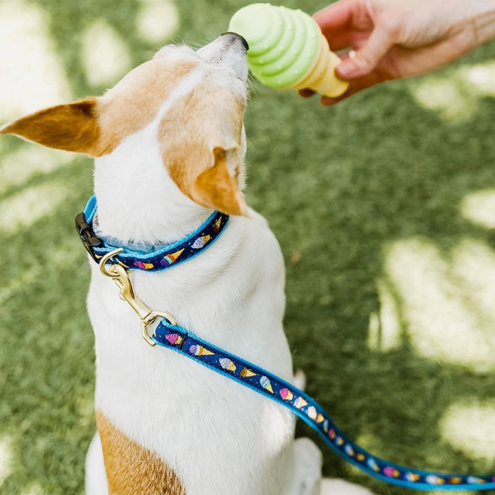 ice-cream-dog-leash