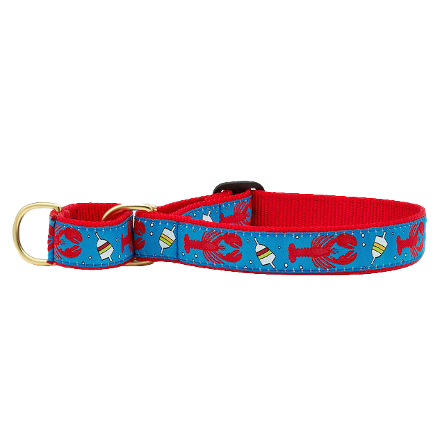 LOBSTER-BUOY-DOG-COLLAR-MARTINGALE-NO-PULL