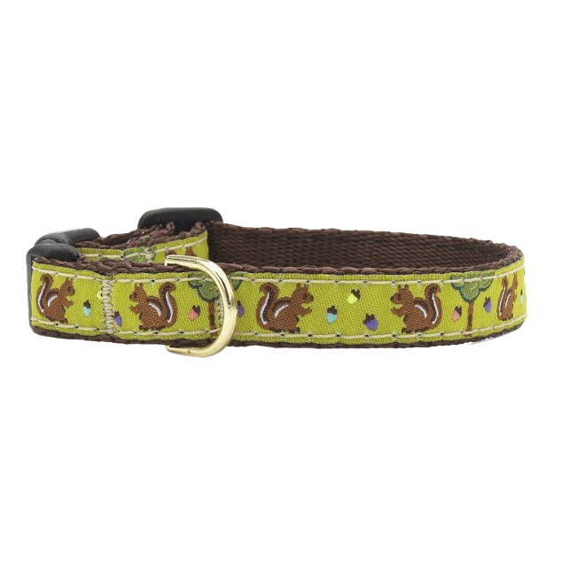 NUTS-SQUIRREL-DOG-COLLAR-SMALL-BREED-TEACUP